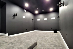 Flynn-Theatre-Room